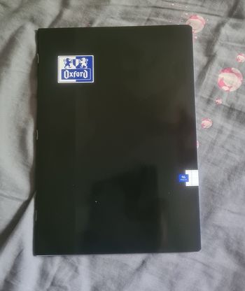 Cahier 24x32cm grans carreaux 96 pages