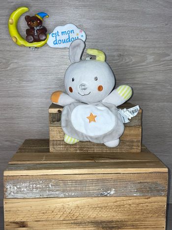 BBN22 doudou lapin 🐰 Aubert