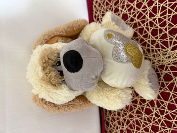 Peluche chien TOY'S COMPANY coeur Love You beige 29 cm