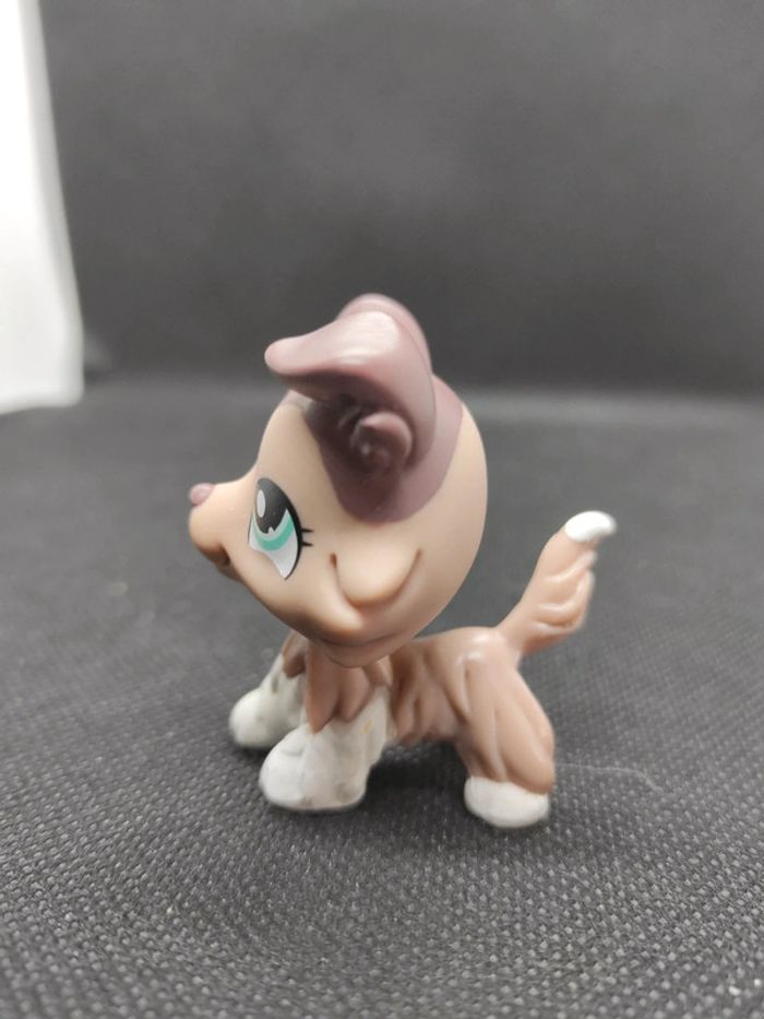 Littlest Petshop LPS dog chien colley collie 1330 hasbro #geektradelpschien - photo numéro 5