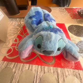 trousse stich