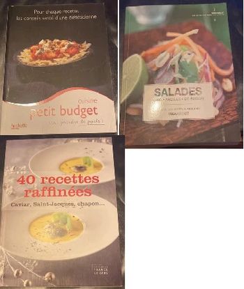 Lot 3 livres de recettes