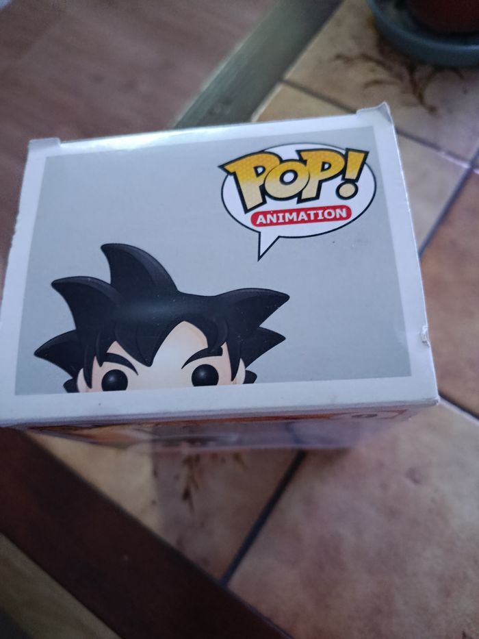 Pop Goku - photo numéro 3