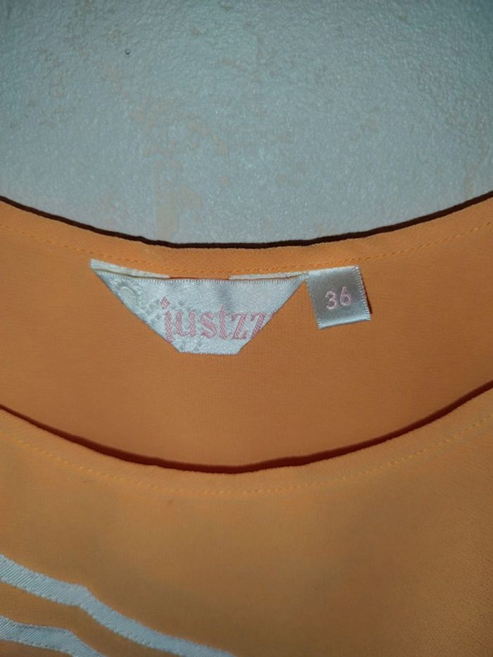 Top fluide - photo numéro 3