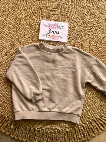 Sweat en coton beige Zara 3 ans