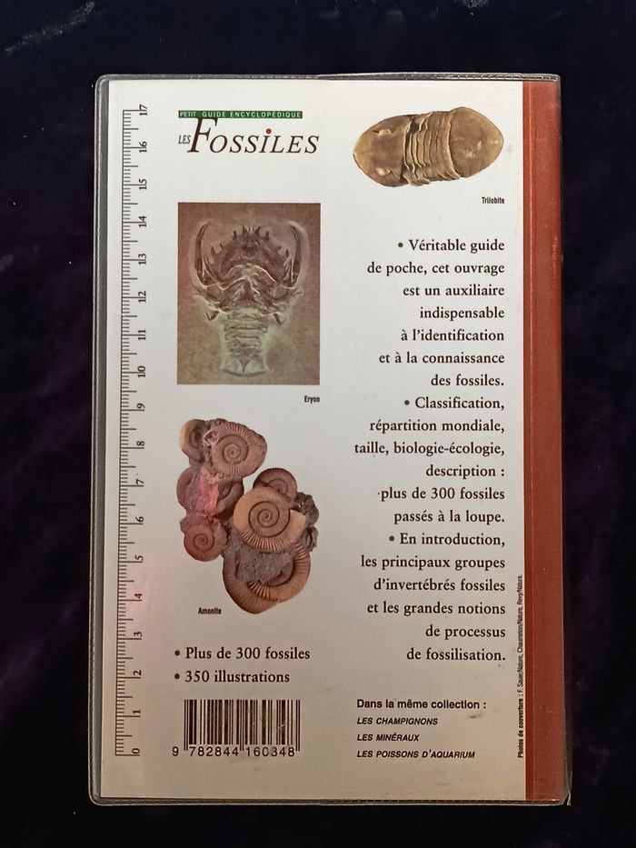 Les fossiles guide encyclopédique - photo numéro 3