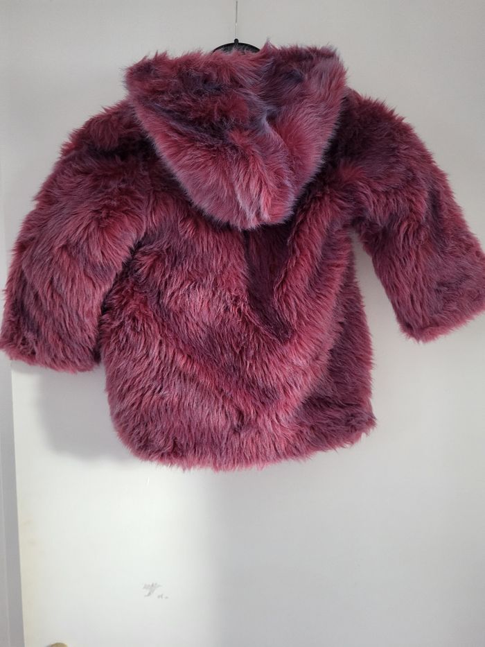 Magnifique manteau - photo numéro 5