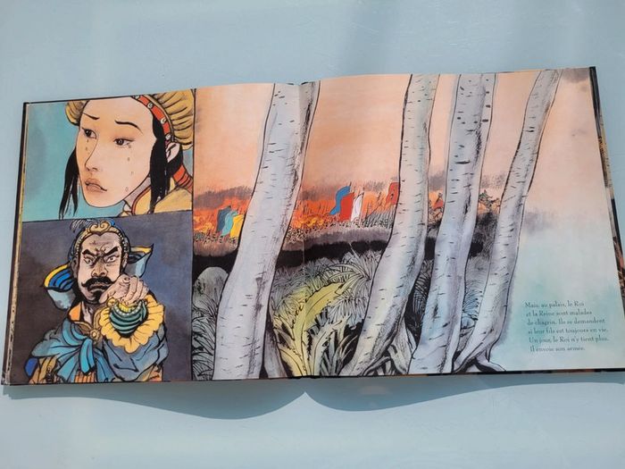 Beau livre grand format dos toilé Le Prince Tigre - photo numéro 9