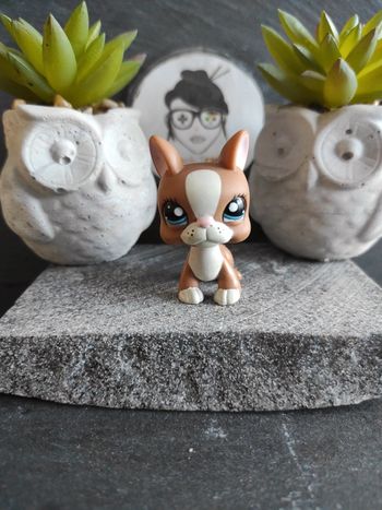 Littlest Petshop Pet Shop LPS dog chien boston terrier 1380 #geektradelpschien