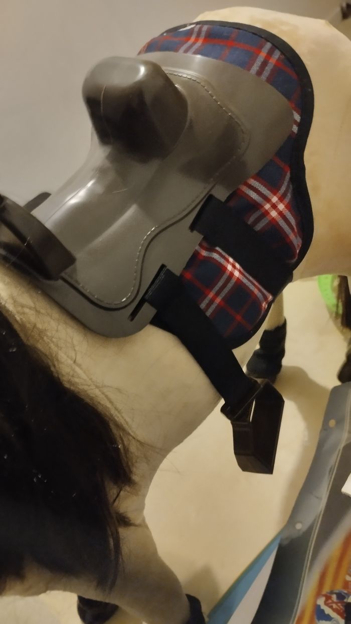 Cheval enfant - photo numéro 4