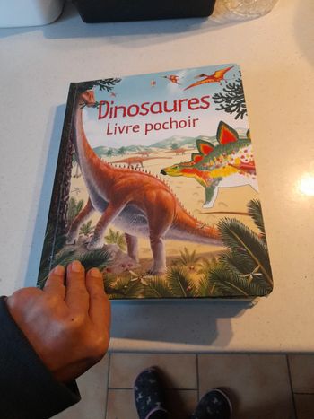 Livre pochoir