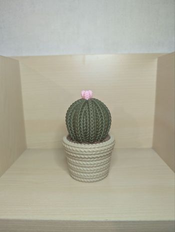 Cactus décoratif style tricot v3