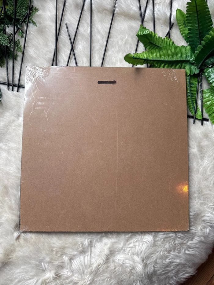 Cadre Indien - Flèches et Plumes - photo numéro 4