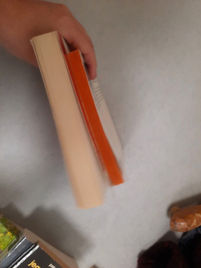 Lot livre amour - photo numéro 6