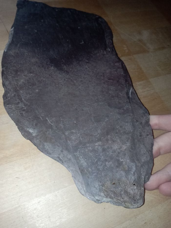 Morceaux d'ardoise - photo numéro 8