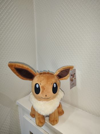 Peluche evoli