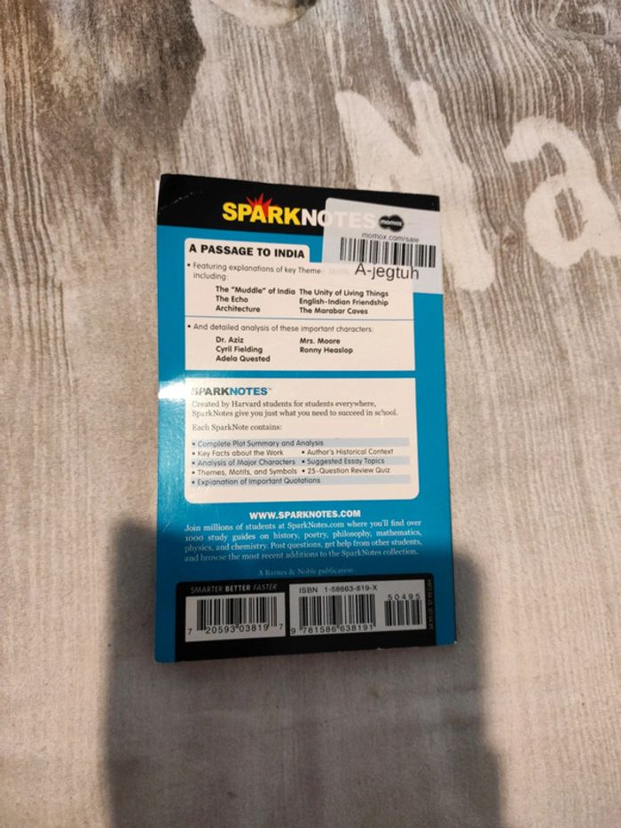 A passage to India - Sparknotes - photo numéro 2