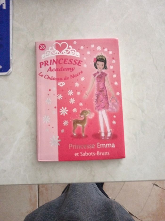 Livre princesse Académy