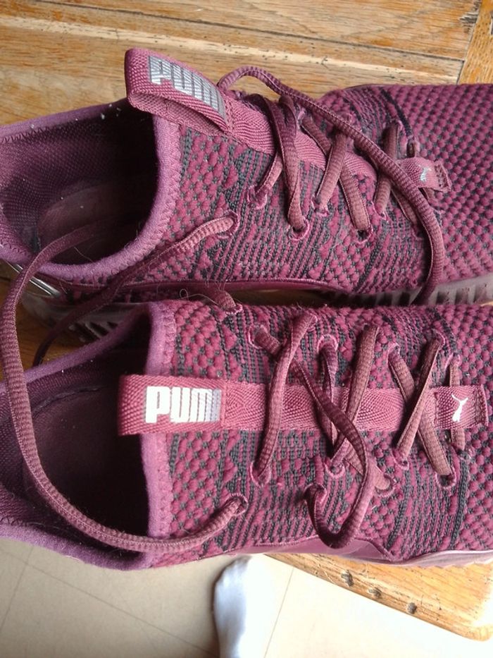 Basket puma