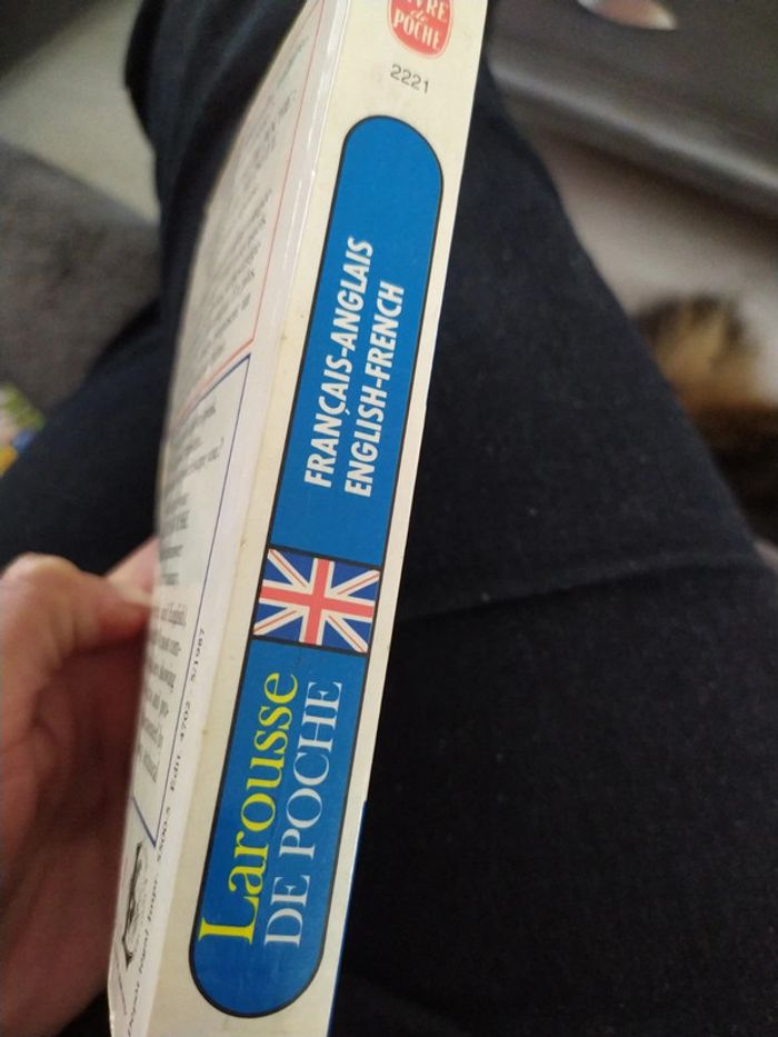 Dictionnaire bilingue - photo numéro 3