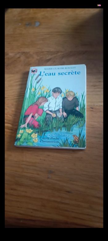 Livre l'eau secrète