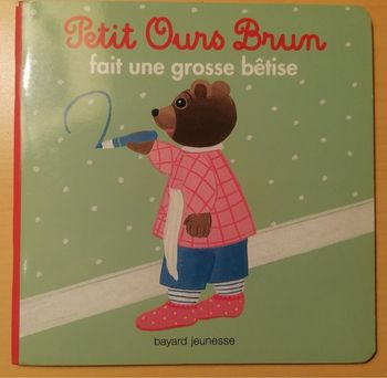 Livre petit ours brun