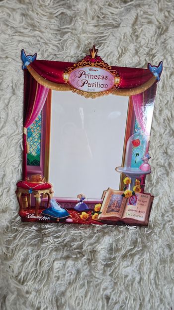 Cadre photo disney pavillon des princesses 15 x 20 disneyland paris