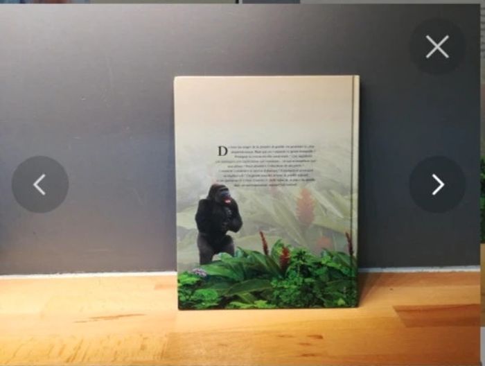 Livre un géant sous les arbres, le gorille - photo numéro 2