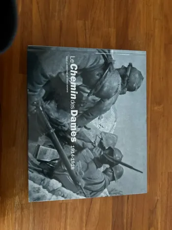 Livre le chemin des dames, 1914 918