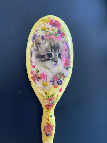 Brosse chat