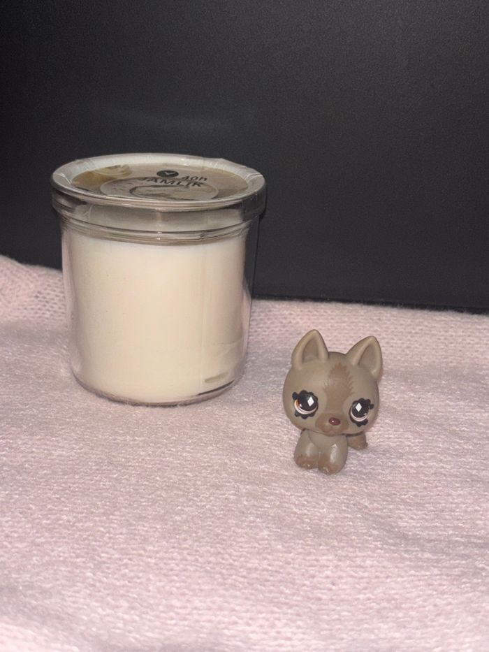 german shepherd #491 - photo numéro 3