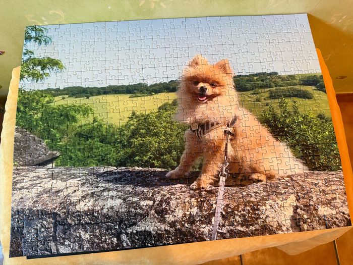 Puzzle 500 pièces - Loulou de Poméranie - photo numéro 5
