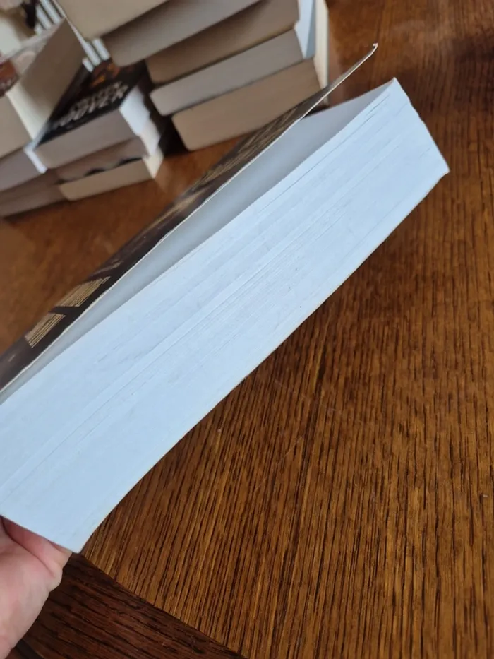 Un monde sans fin de Ken Follett - photo numéro 6