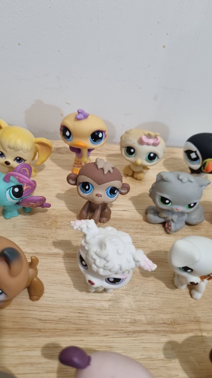 Lot de 22 petshops Hasbro + accessoires - photo numéro 6