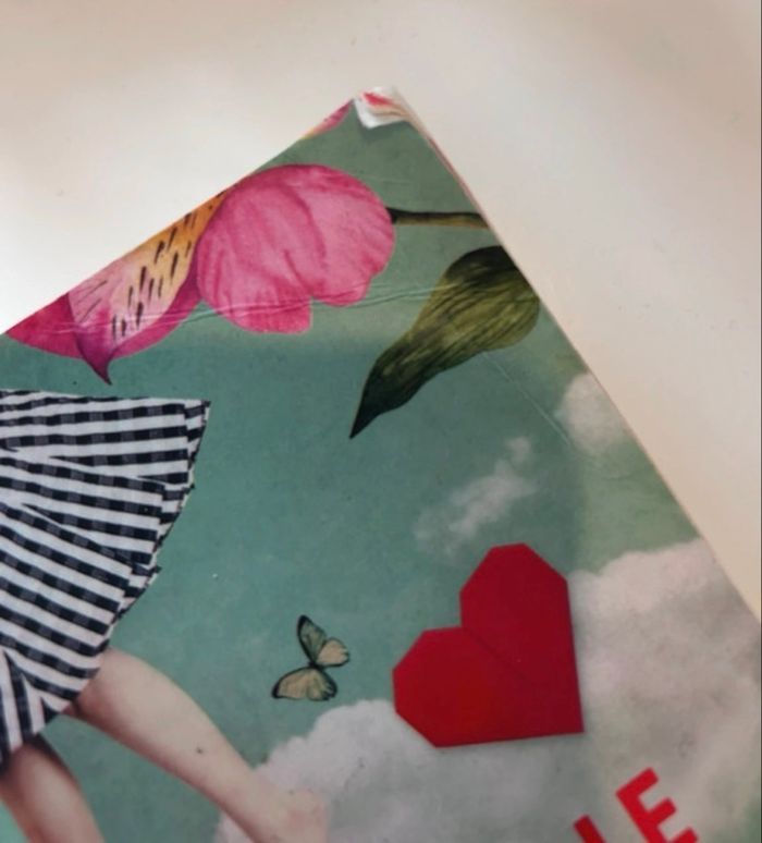 Livre Cupidon a des ailes en carton - photo numéro 4