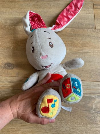 Lapin comme neuf interactif