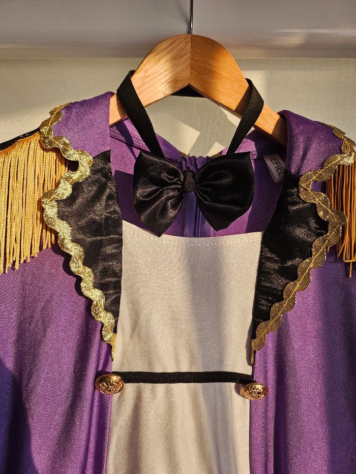 Deguisement de cirque - photo numéro 3