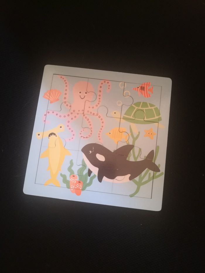 Puzzle en bois 9 pièces