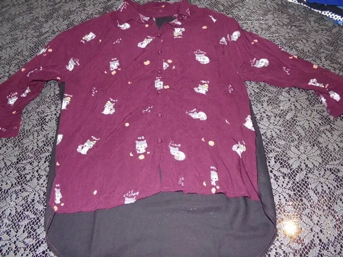 Chemise - photo numéro 7