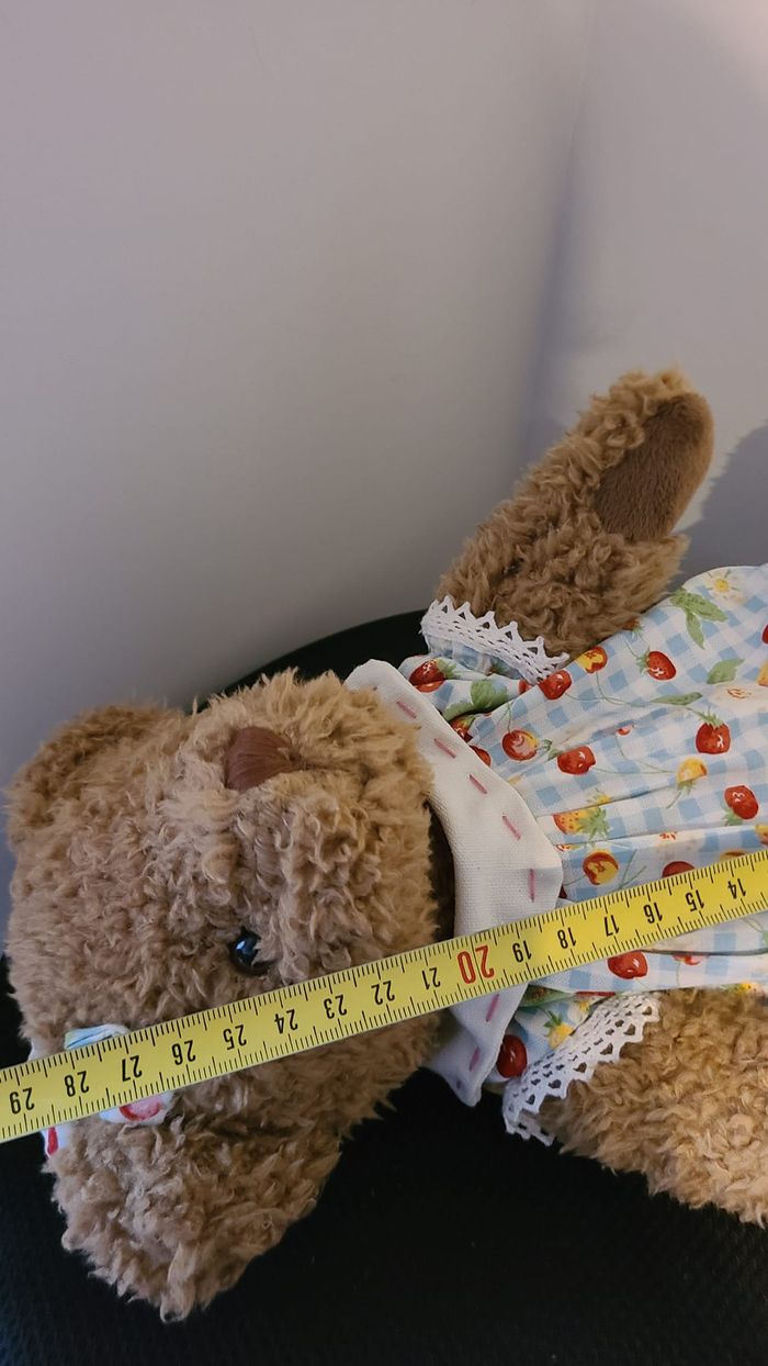 peluche ours - photo numéro 5