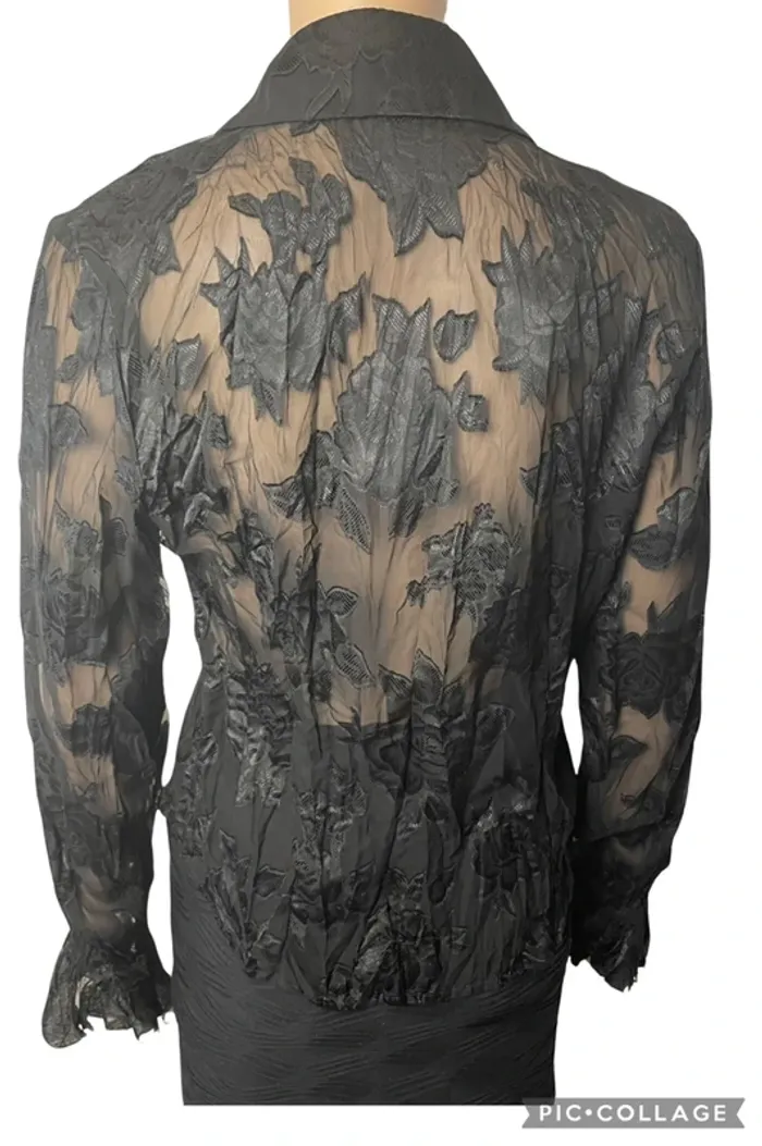 Chemise transparente Vintage - photo numéro 2
