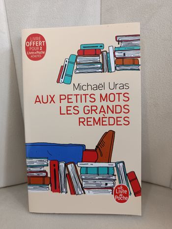 Roman " Aux petits mots les grands remèdes "