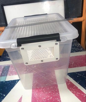 Pièges à frelons asiatiques xxl