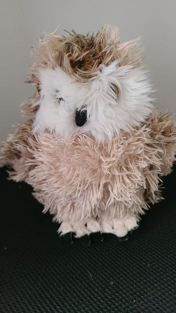 doudou hibou