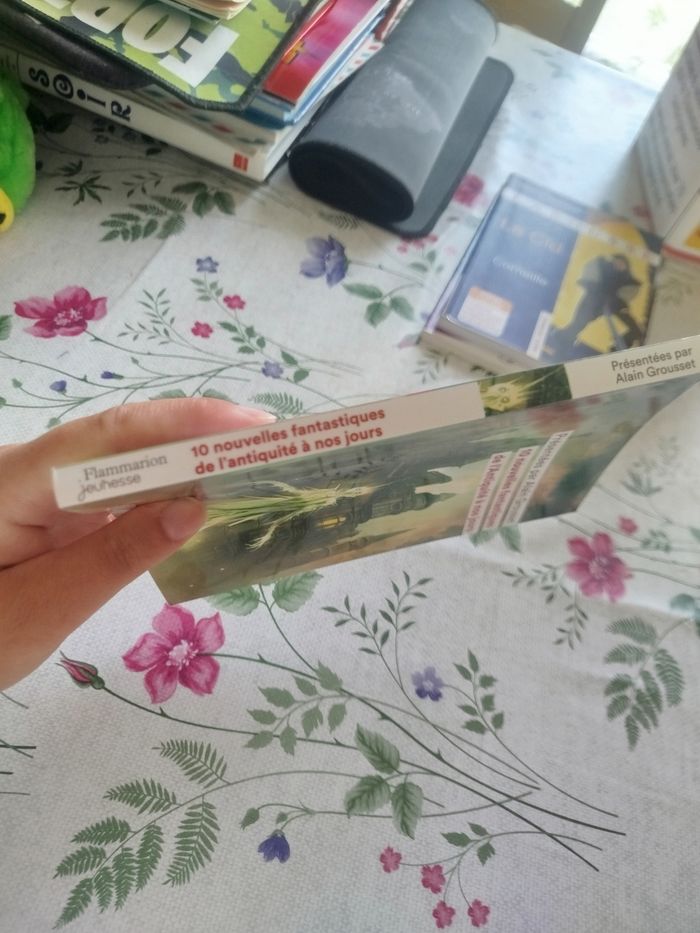 Livre 10 nouvelles fantastiques de l'antiquité a nos jours - photo numéro 2