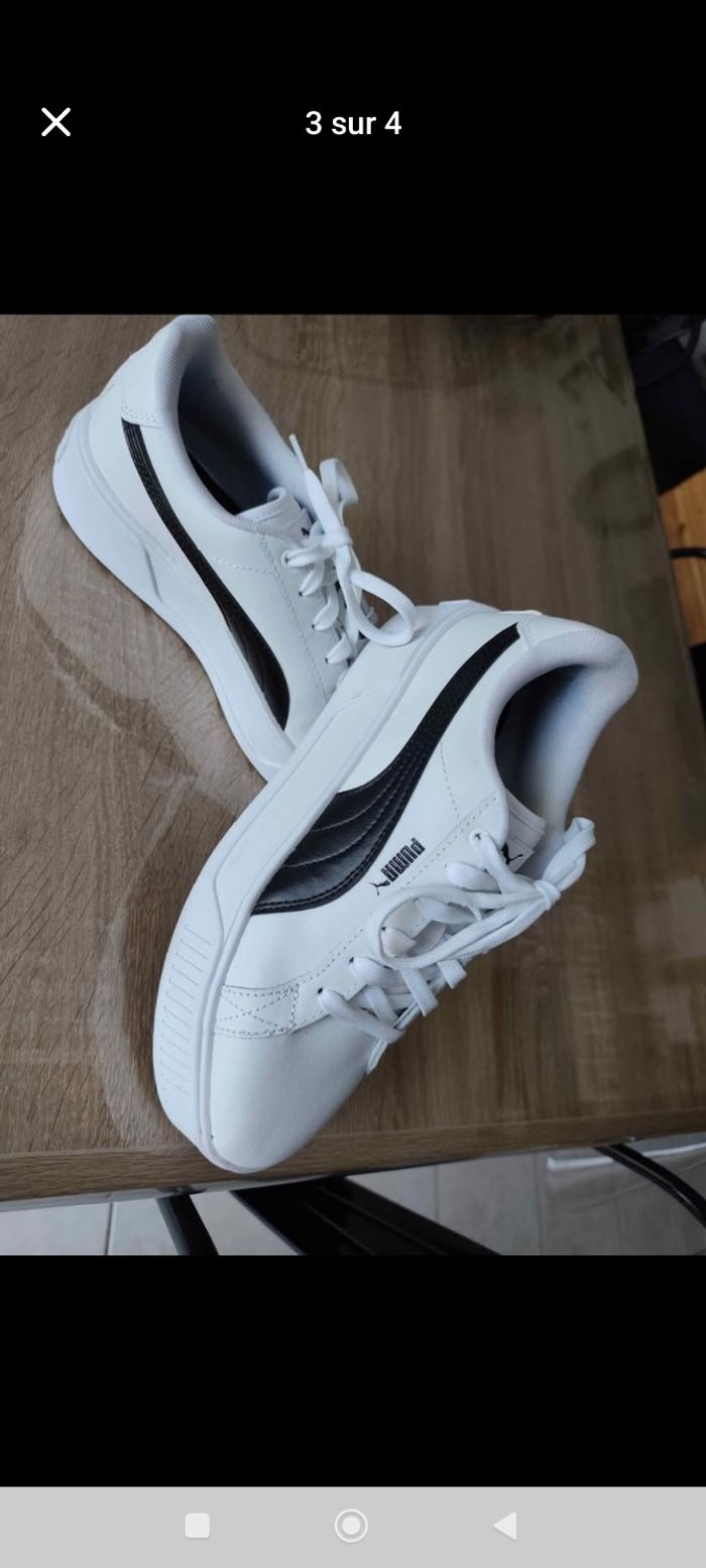 Puma - photo numéro 3