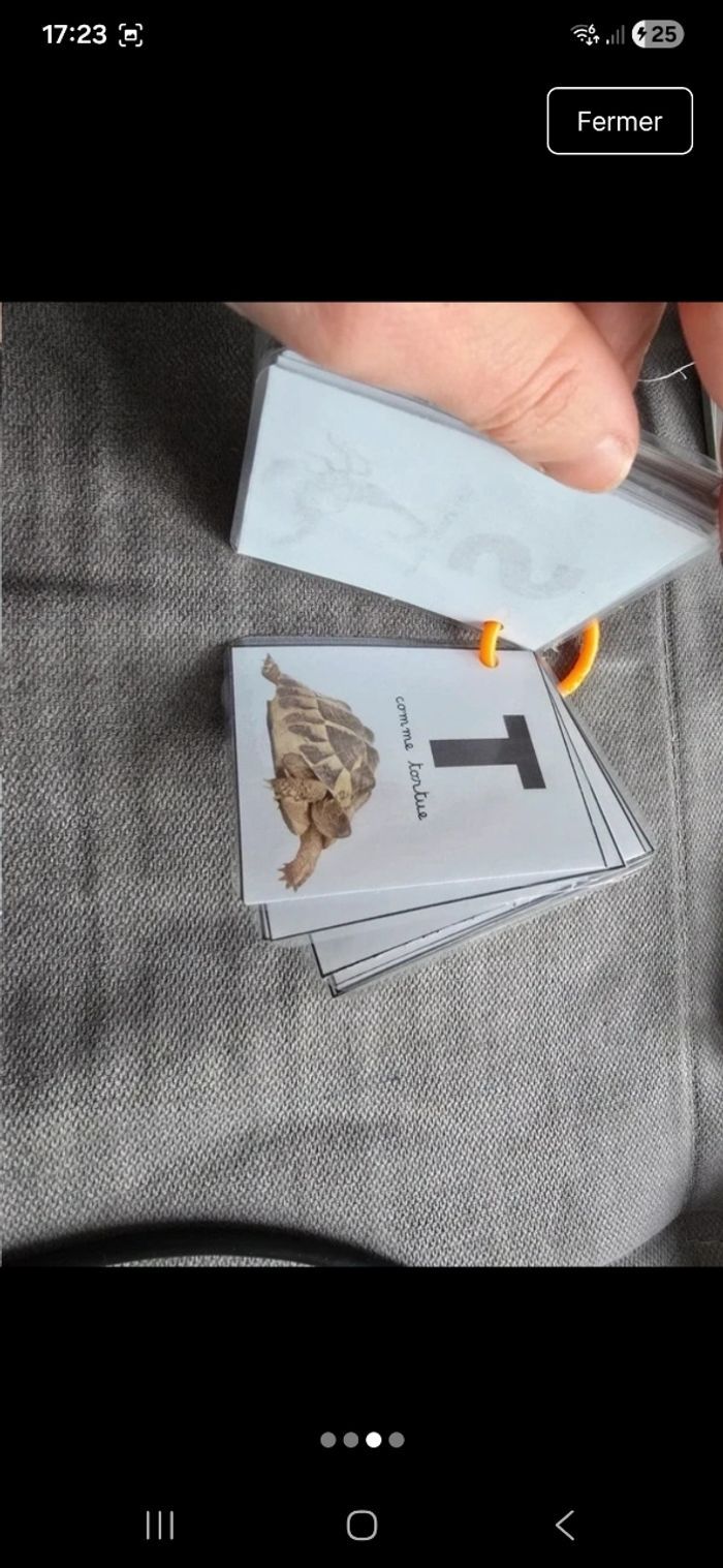 Abécédaire animaux - photo numéro 3