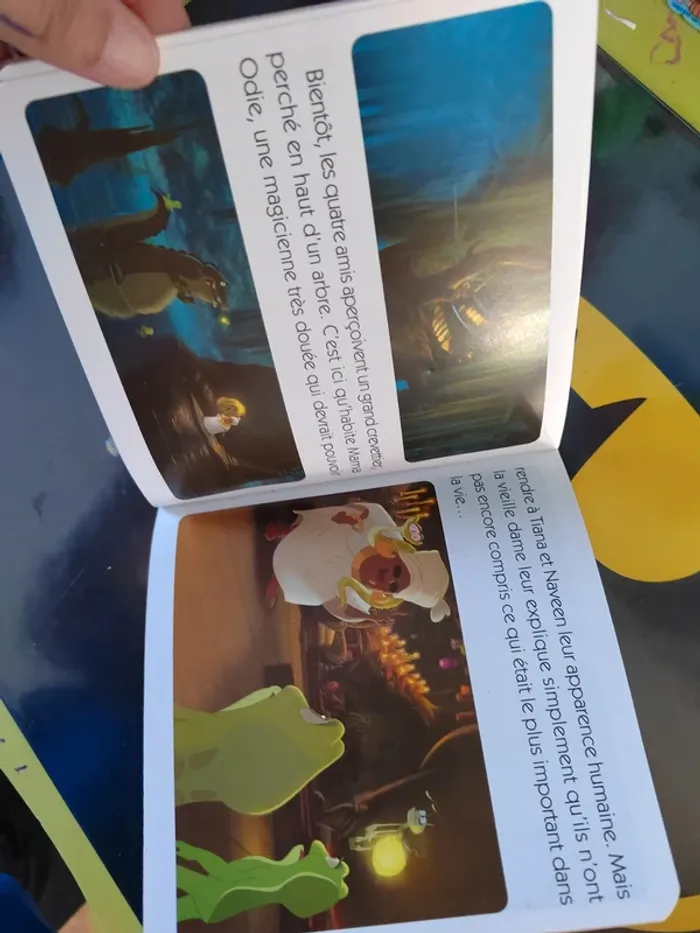Livre princesse grenouille - photo numéro 3