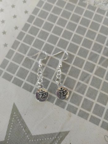 Boucles d'oreilles acier