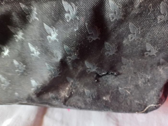 Sac à dos noir avec ailes brillante - photo numéro 6